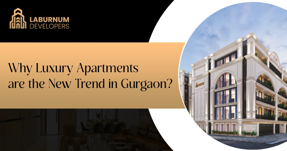 luxury Apartment in Gurgaon
